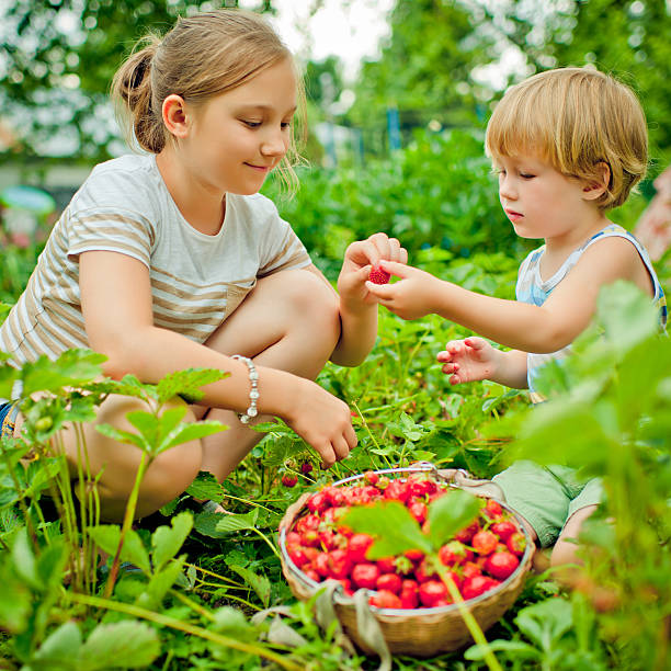 istock Boy and girl with strawberry 479025785