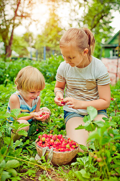 istock Boy and girl with strawberry 479025877