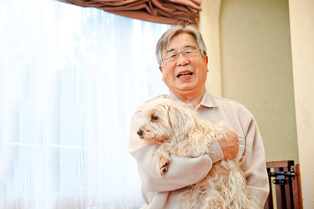 istock Companion animal 479029818