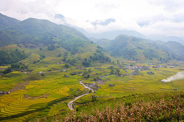 arroz fiel em sapa cidade-vietnã - bac ha - fotografias e filmes do acervo