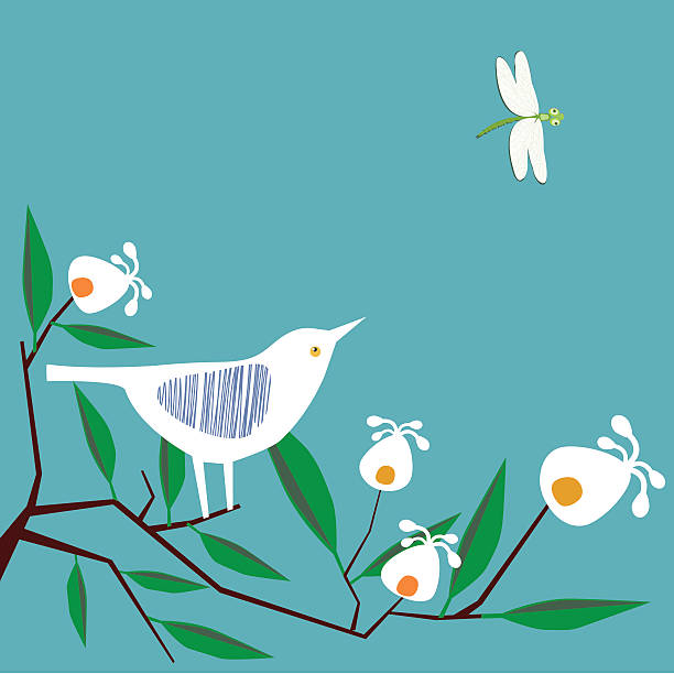 ilustrações de stock, clip art, desenhos animados e ícones de pássaro e libélula em fundo turquesa - campanula white flower single flower
