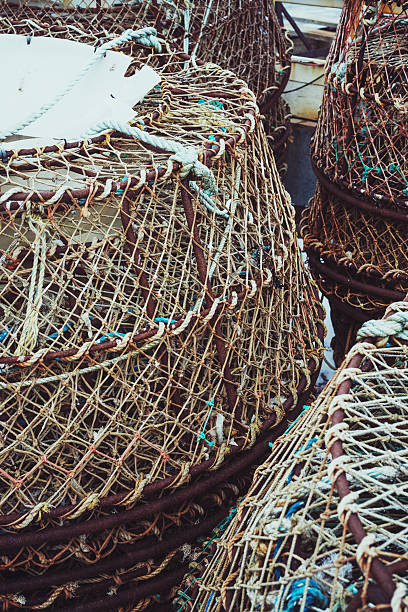 istock Crab Fishing Pots 479032741