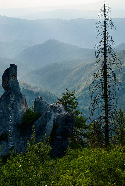 istock Beautiful landscape in Idaho 479033397