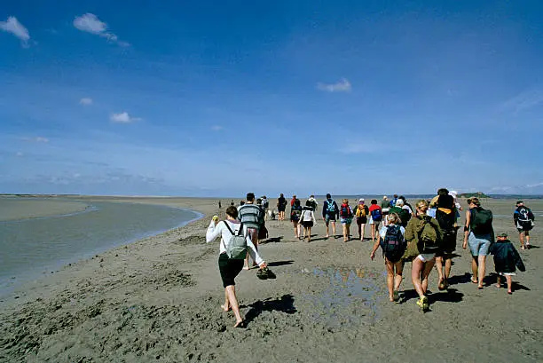 Tour group walking across mud flats in Mont St. Michel bay at low tide, Normandy, France.