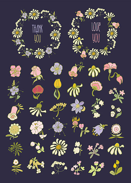 ilustraciones, imágenes clip art, dibujos animados e iconos de stock de marco floral de la colección.   conjunto de flores retro organizar monada - plan flower arrangement single flower blue