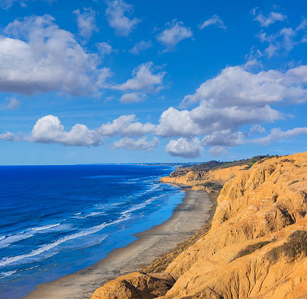 torrey pines state natural reserve, pacific ocean, ca, tel. - torrey pines state reserve stock-fotos und bilder