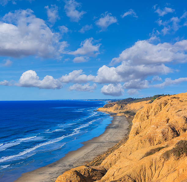 Torrey Pines State Natural Reserve, Pacific Ocean, CA,(P) Rugged coastline of Torrey Pines State Natural Reserve and the Pacific Ocean, CaliforniaRugged coastline of Torrey Pines State Natural Reserve and the Pacific Ocean, California la jolla stock pictures, royalty-free photos & images