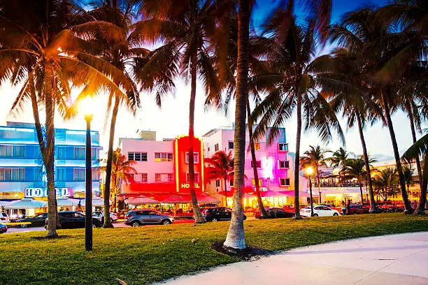 Photo taken at night, on Miami Beach, with famous art deco hotels on background and palm trees.