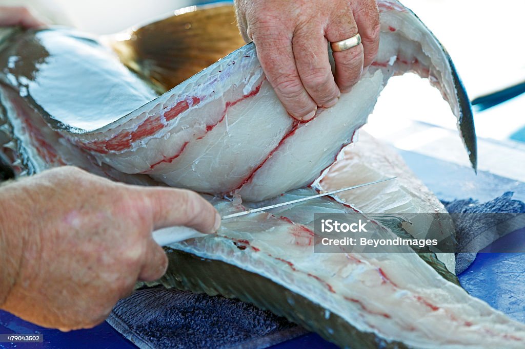 Experienced hands filleting large ling fish 3 Close-up of hands of experienced fisherman filleting large Cobia or Black Kingfish (Ling) onboard boat. Small business operator.  Horizontal. 2015 Stock Photo