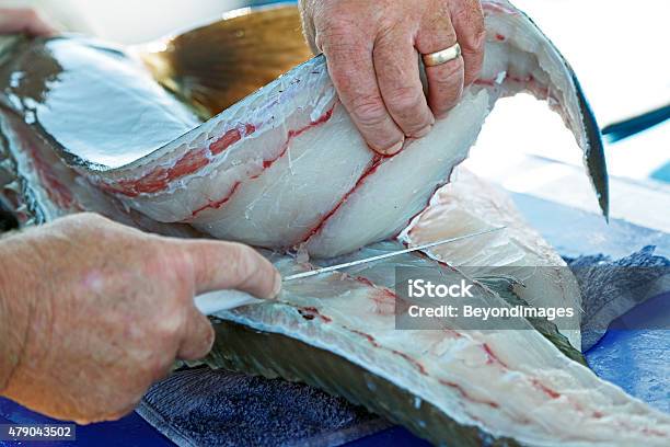 Experienced Hands Filleting Large Ling Fish 3 Stock Photo - Download Image Now - 2015, Activity, Adult
