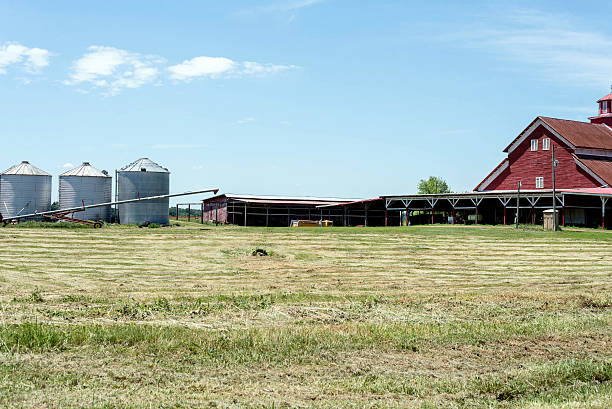 istock Farm scene with barn, silos, and a field 479043680