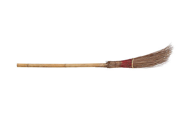 istock Stalk coconut broom isolated on white background 479047293