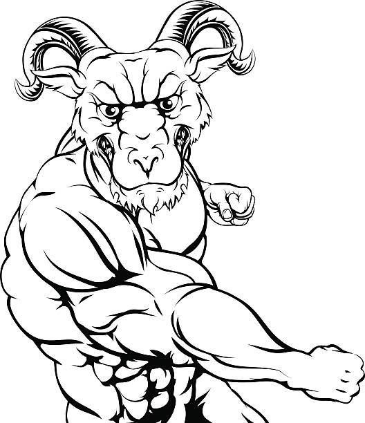 Fighting Rams Mascot 20+ Rams Fighting Cartoons Stock Photos, Pictures & Royalty-Free Images ...