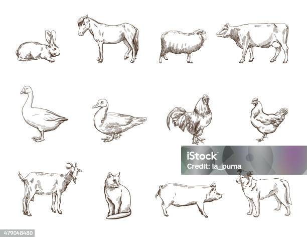 Farm Animals Stock Illustration - Download Image Now - Illustration, Drawing - Art Product, Domestic Cattle