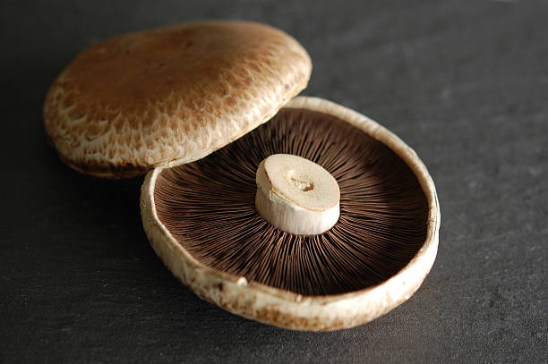 Bio, champignons portobello naturels en ardoise - Photo