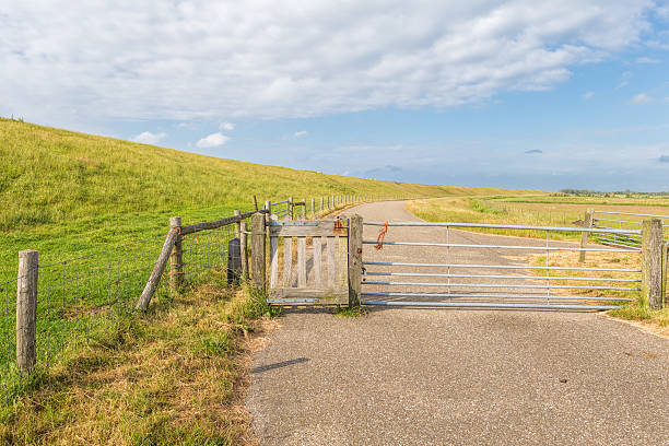istock summer countryside in the Netherlands 479054772