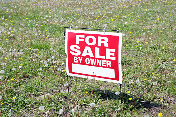 For Sale By Owner Sign in Weed Filled Lot stock photo
