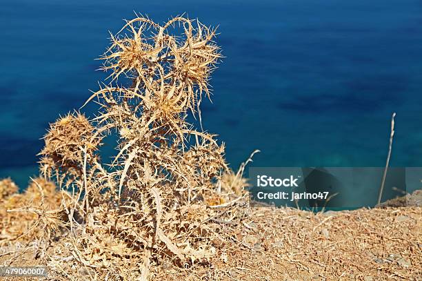 Savannah Sea Of Crete Greece Stock Photo - Download Image Now - Awe, Beach, Blue