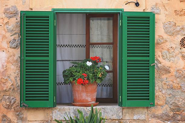 istock flower pot and green window 479061036