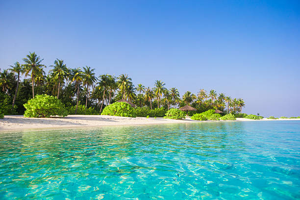 istock Idyllic perfect turquoise water at exotic island 479061548