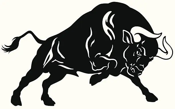 Vector illustration of angry bull black white
