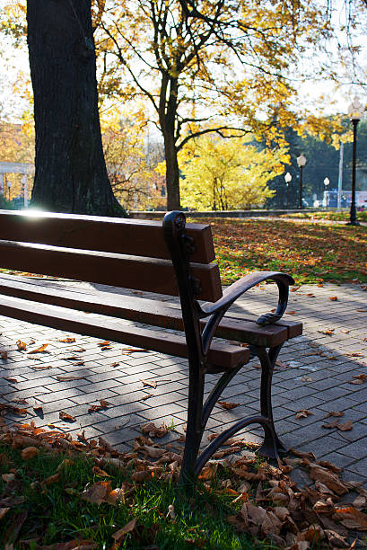 istock brown bench in city park 479063915