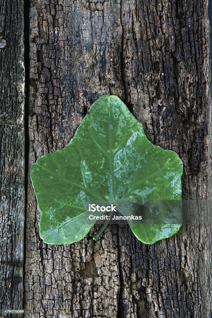 WOOD wood Abstract Stock Photo