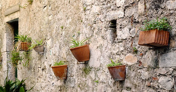 istock plant pots hanging from a wall in a rustic alley 479070924