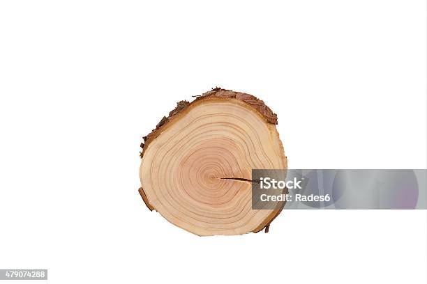 Sectional View Of Tree Stock Photo - Download Image Now - 2015, Abstract, Backgrounds