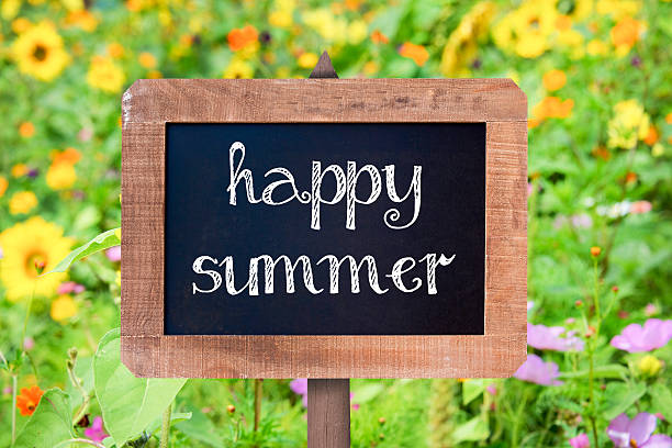 istock Happy summer written on a chalkboard, flower in the background 479076594