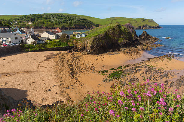 istock Hope Cove South Devon England UK with pink flowers 479077584