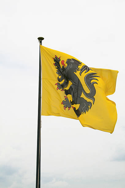lion flamand - flag flanders medieval lion photos et images de collection