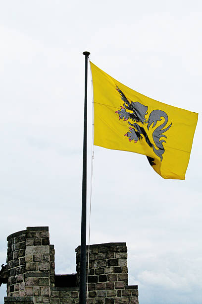 lion flamand - flag flanders medieval lion photos et images de collection