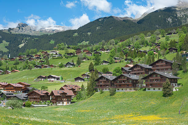 istock Stunning Landscape in Swiss 479079732