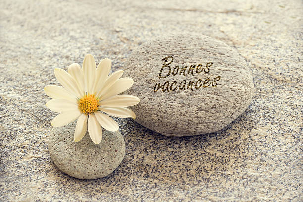 istock Bonnes vacances written on zen pebbles with a daisy 479081676