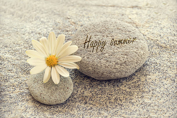 istock Happy summer written on zen pebbles with a daisy 479081682