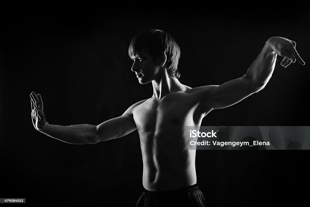 Dramatic portrait of kung fu sportsman Male fighter kung fu. Low key. Dramatic portrait. The concept of male power. 2015 Stock Photo