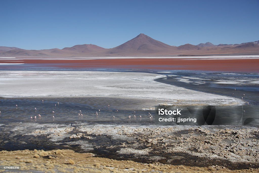 Laguna Colorada in Avaroa National Park in Bolivia Laguna Colorada in Avaroa National Park in Bolivia, South America 2015 Stock Photo