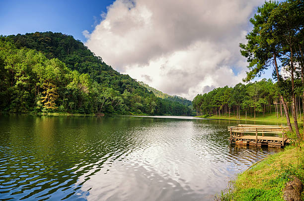 istock pang ung , reflection of pine tree in a lake 479087672