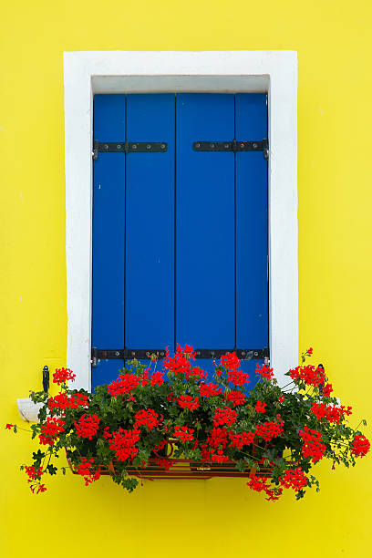 istock Colorful window on the wall, Burano, Venice, Italy 479090014