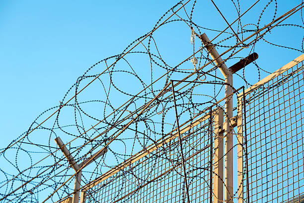 istock razor wire barbed top of security fence 479093089
