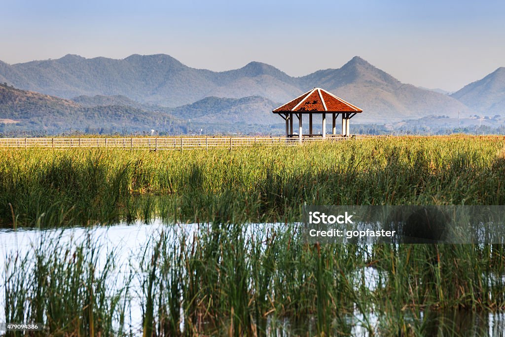Wooden path with pavilion on the marshes and mountain background. 2015 Stock Photo