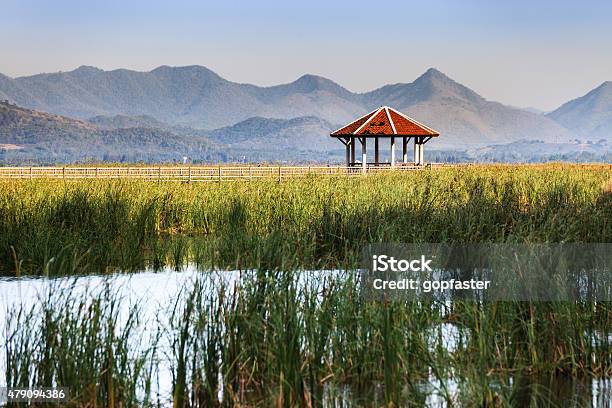 Wooden Path With Pavilion On The Marshes And Mountain Background Stock Photo - Download Image Now
