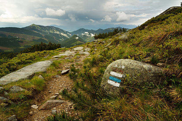 Trail blazing stock photo