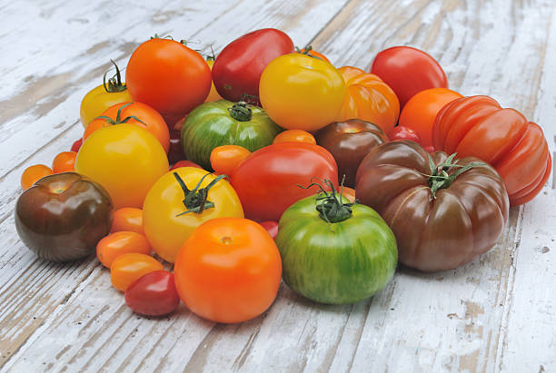 istock assortment of tomatoes 479096174