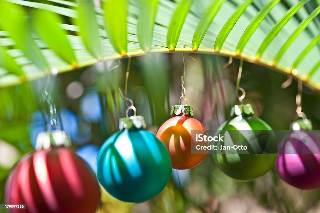 Christmas baubles hanging in palm tree in Dominican Republic Christmas concept: Christmas baubles hanging in a palm tree in Las Terrenas, Dominican Republic.  Christmas Ornament Stock Photo