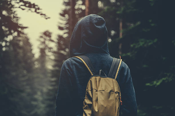 istock Traveler with backpack walking in a foggy forest 479097678