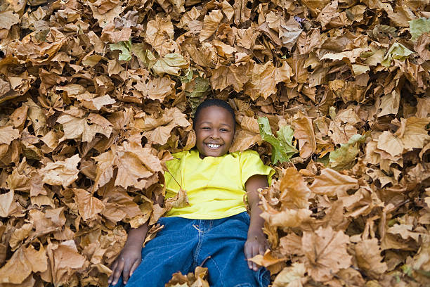 Boy playing with leafs stock photo