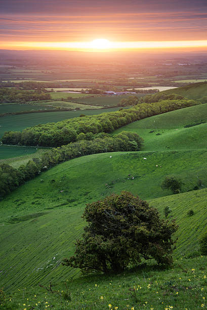 istock Morning over rolling English countryside landscape in Spring 479101312