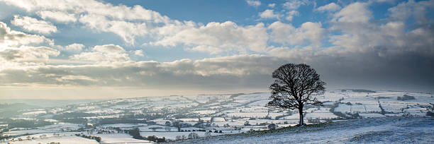 istock Stunning Winter panoramic landscape snow covered countryside wit 479103812